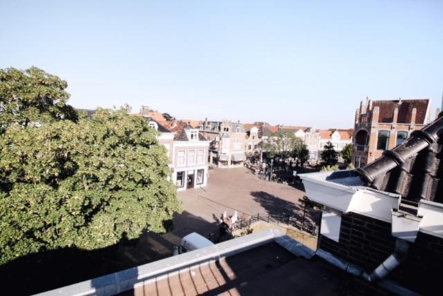 Aparthotel Le Provence 斯内克 外观 照片